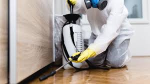 Best Real Estate Pest Inspections  in Harriman, NY